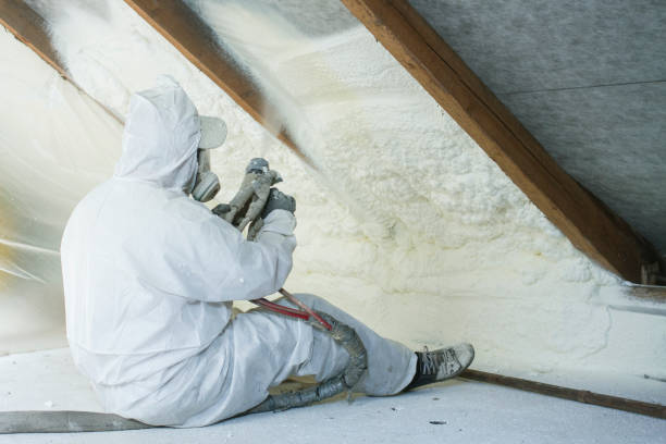 Sophia, WV Insulation Removal & Installation Company