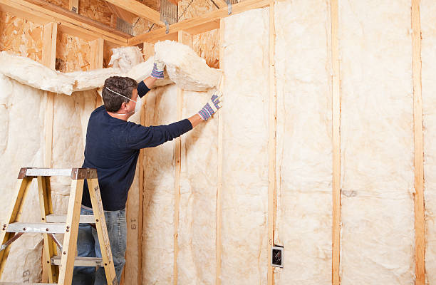 Best Blown-In Insulation in Sophia, WV